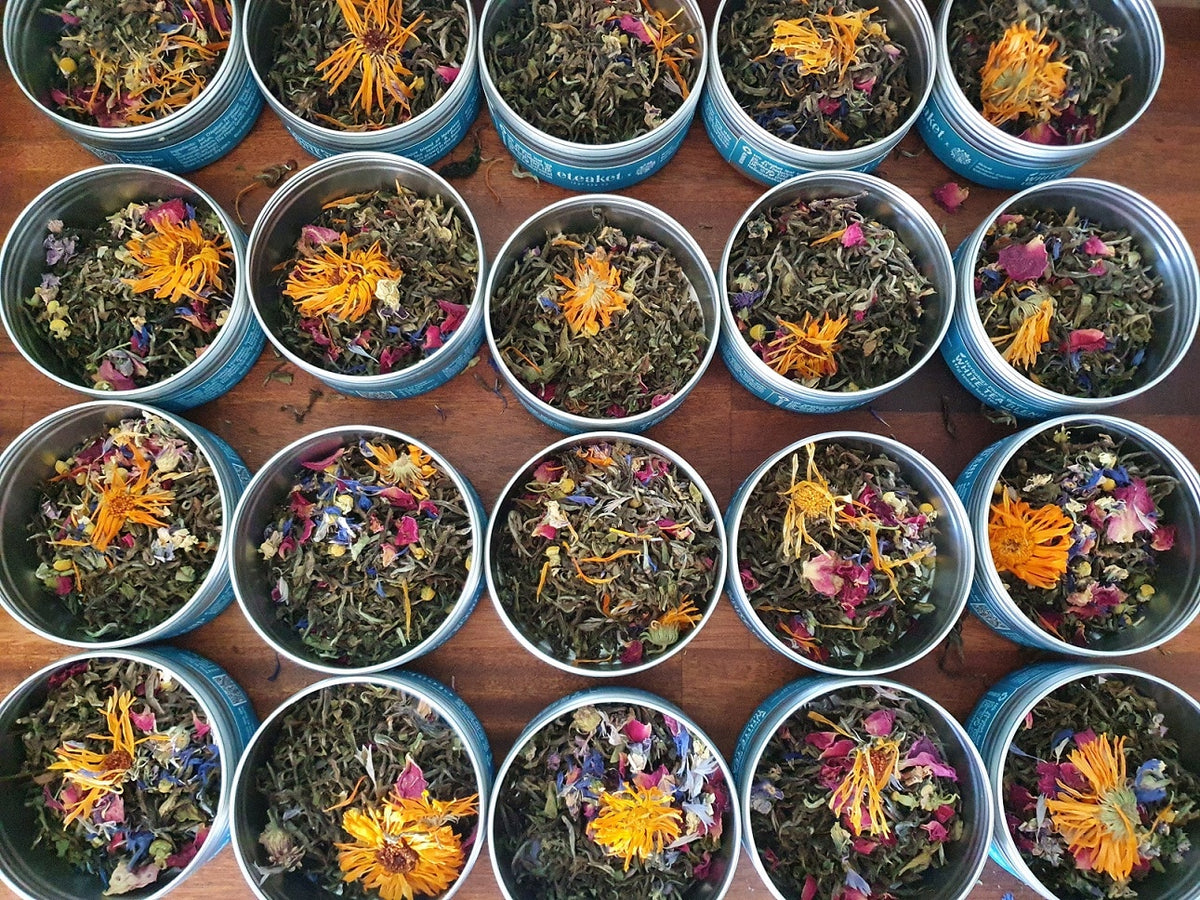 Tea Collaboration with The Royal Botanic Garden Edinburgh