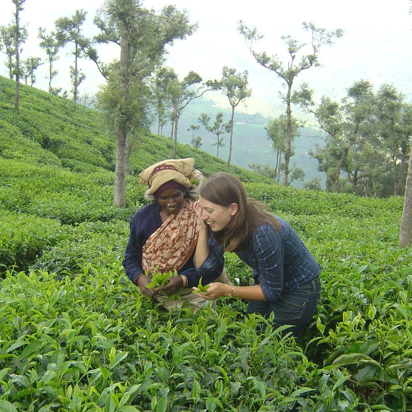 Extraordinary Women Who Have Shaped The Tea Industry