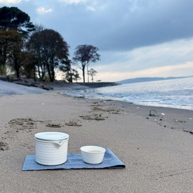 Fengwo Tea Travel Set – image 5