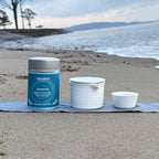 Fengwo Tea Travel Set