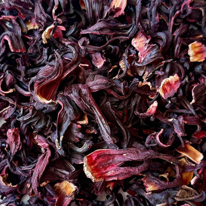Hibiscus