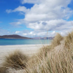 Isle Of Harris Gin Tea