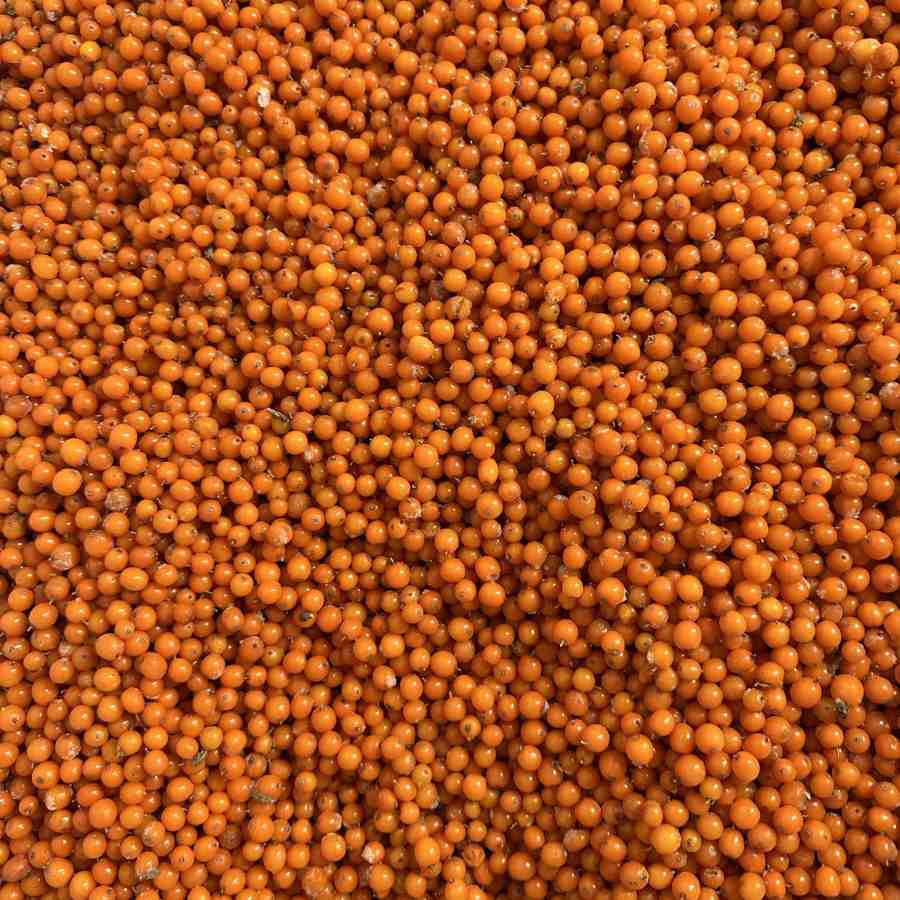 Sea Buckthorn Tea – image 6