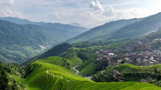 China tea origin