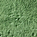 Ceremonial Matcha – loose leaf