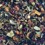 The Balanced Mind – loose leaf