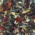 The Energised Mind – loose leaf