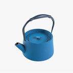Cast Iron Blue Infuser Tea Pot