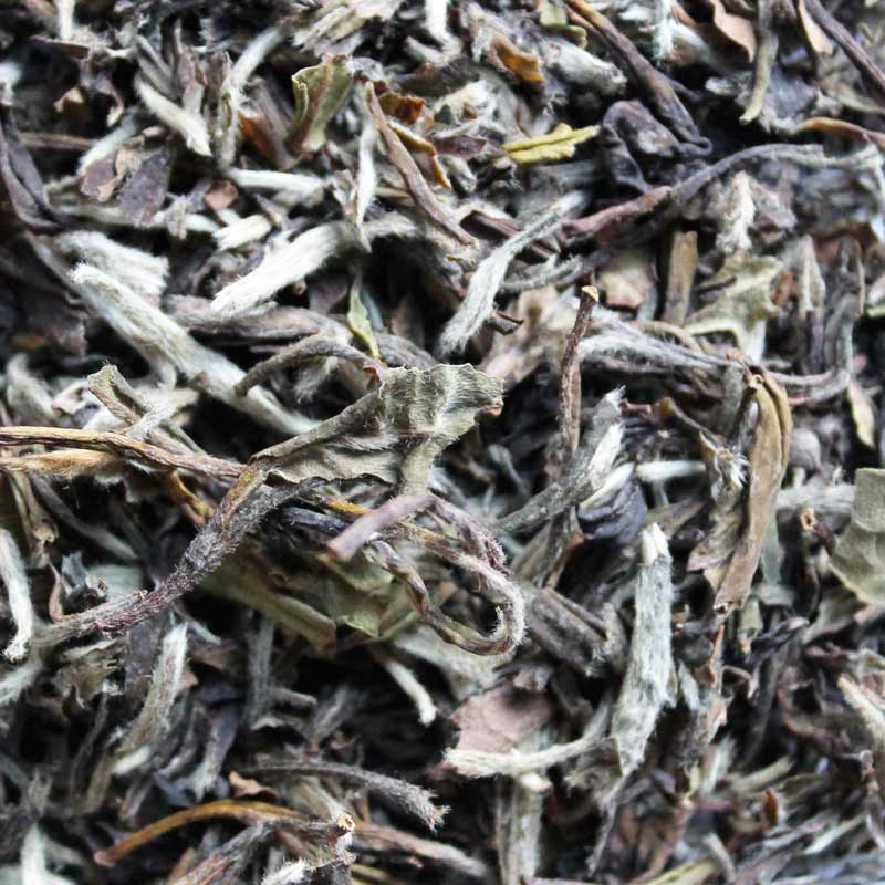 White Peony – loose leaf
