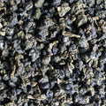 Yellow Gold Oolong – loose leaf