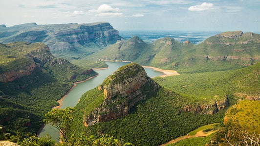 South Africa tea origin
