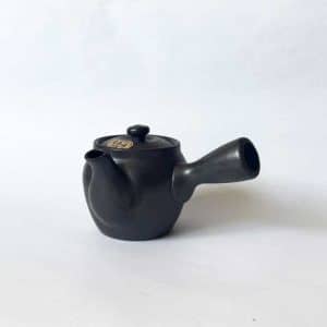 Side Handle Japanese Tea Pot